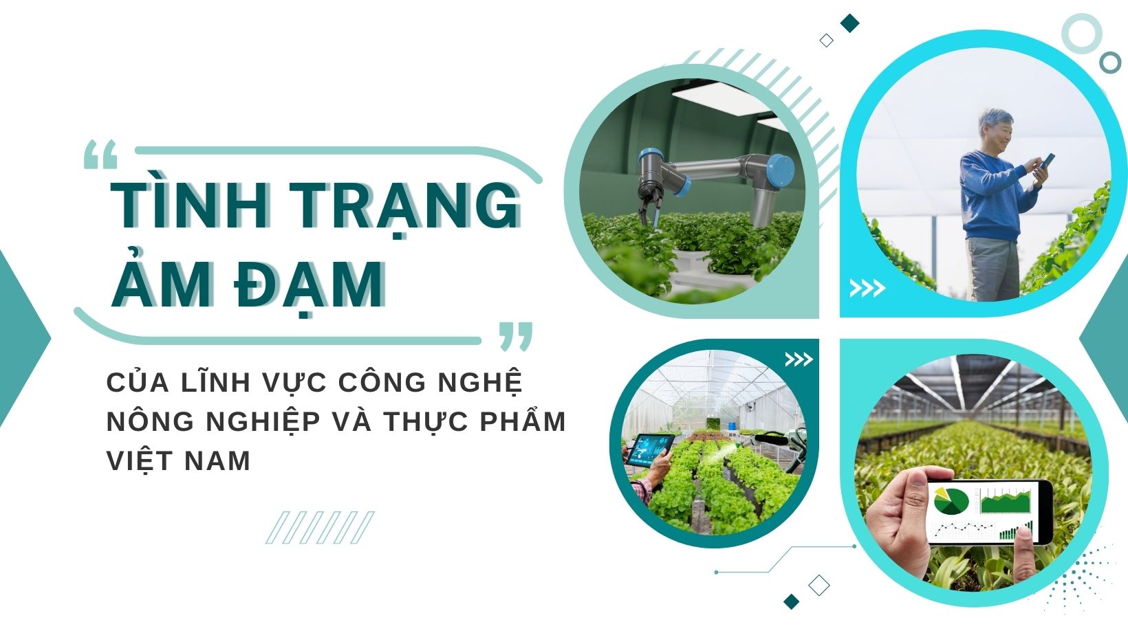 Tinh trang am dam cua linh vuc agtech và foodtech