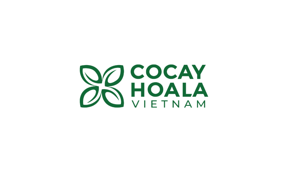 Top 10 Startup Wheel 2023 - Cỏ Cây Hoa Lá
