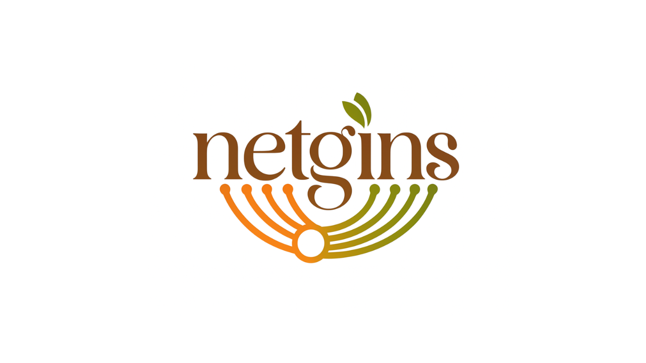 top-10-vietnam-youth-startup-startup-wheel-2025-NETGINS